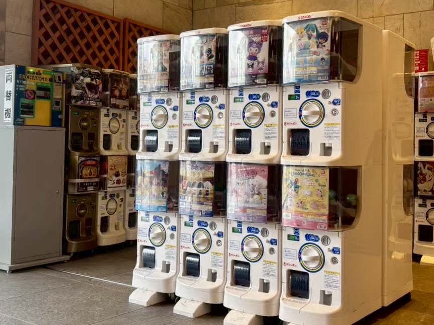 カプセル画像